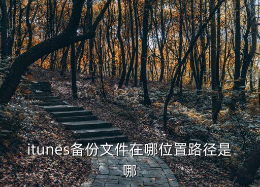 itunes備份文件在哪位置路徑是哪