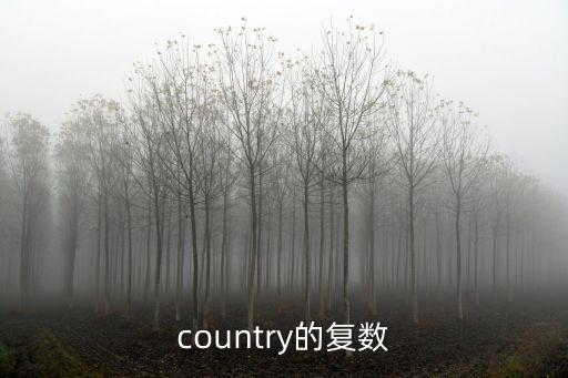 country的復數