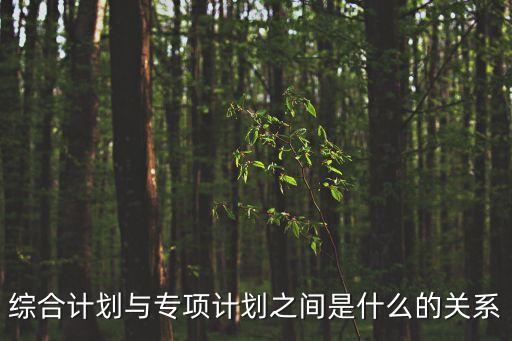 綜合計劃與專項計劃之間是什么的關系