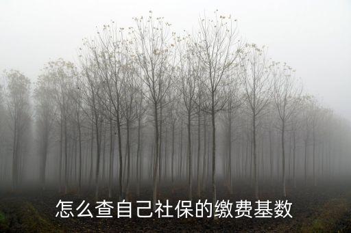 社保繳費基數(shù)查詢，個人社?；鶖?shù)怎么查