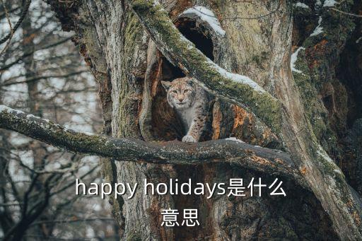 happy holidays是什么意思