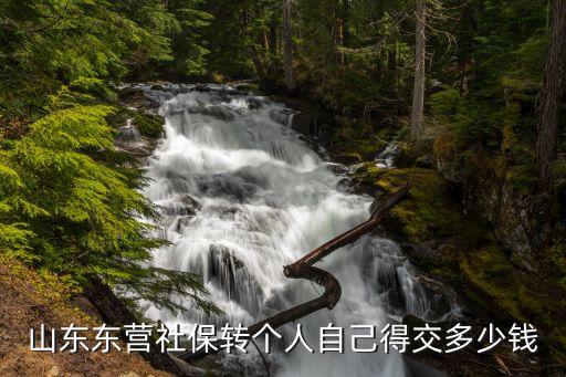 東營社保，外地戶口可以在東營交社會保險基金嗎