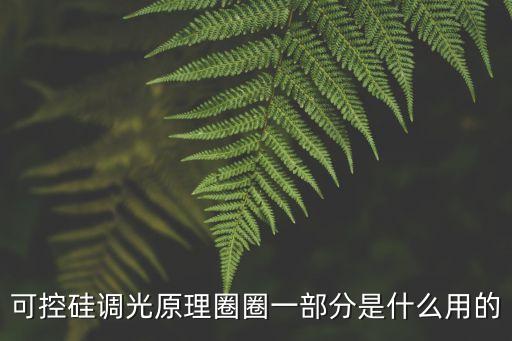 廣州led可控硅調(diào)光用途，可控硅調(diào)光原理圈圈一部分是什么用的