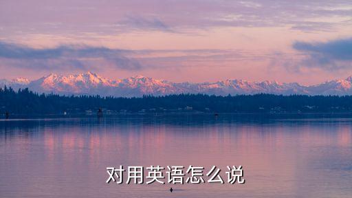 對的英語怎么說，人們經(jīng)常說的對還是錯用英語怎么說好象是ture or 請知道