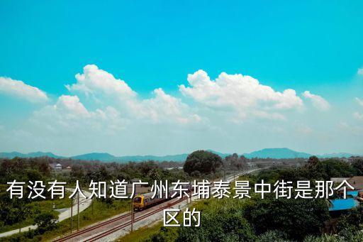 有沒有人知道廣州東埔泰景中街是那個區的
