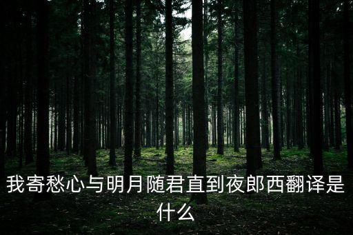 隨君直到夜郎西，隨君直到夜郎西這首詩的前一句和整首詩