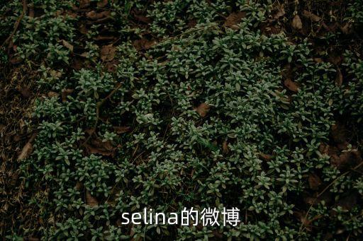 selina的微博