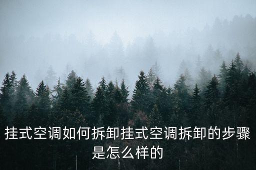 掛式空調(diào)如何拆卸掛式空調(diào)拆卸的步驟是怎么樣的