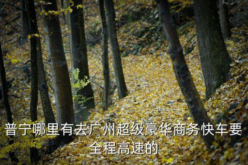 普寧到廣州高鐵商務座，普寧哪里有去廣州超級豪華商務快車要全程高速的