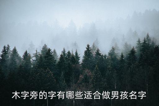 帶木字的男孩名字，取名帶木字旁男孩子名