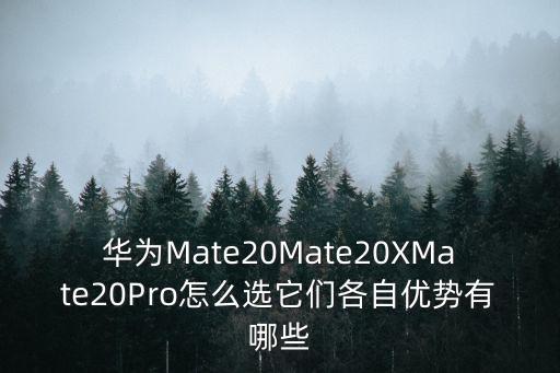 華為mate20x，華為Mate20Mate20XMate20Pro怎么選它們各自優勢有哪些