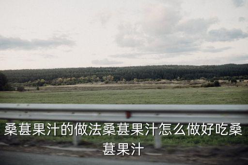 桑葚果汁的做法桑葚果汁怎么做好吃桑葚果汁