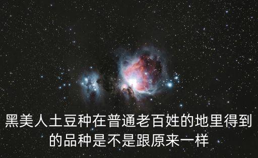 黑美人土豆，黑美人土豆種在普通老百姓的地里得到的品種是不是跟原來一樣