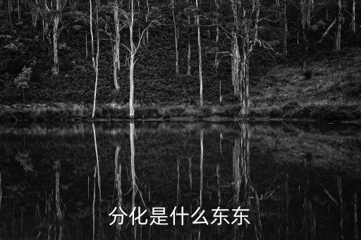 分化，什么叫做分化