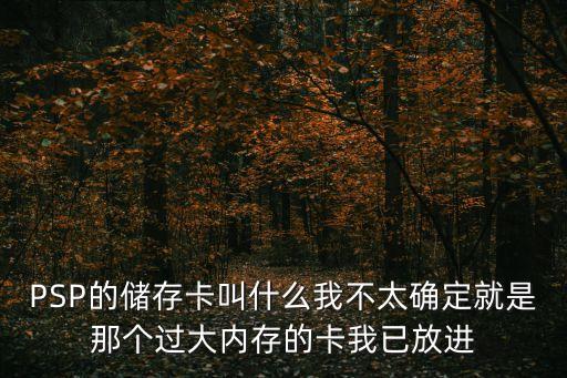 PSP的儲存卡叫什么我不太確定就是那個過大內(nèi)存的卡我已放進