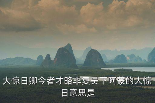 大驚日卿今者才略非復(fù)吳下阿蒙的大驚日意思是