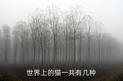 世界上的貓一共有幾種