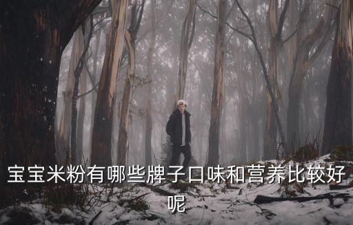 寶寶米粉有哪些牌子口味和營養比較好呢