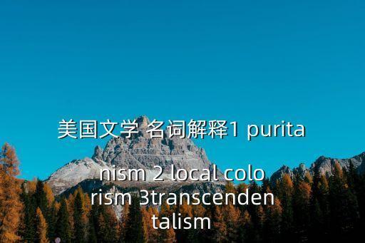 美國文學 名詞解釋1 puritanism 2 local colorism 3transcendentalism