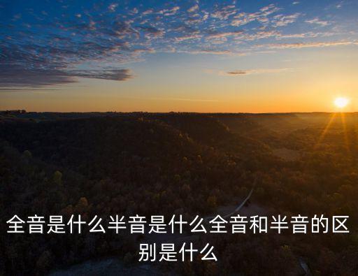 全音階，全音階口琴和布魯斯口琴的區(qū)別