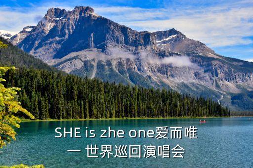 SHE is zhe one愛而唯一 世界巡回演唱會