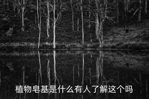 皂基成分，天然皂粉里的天然皂基成分是什么
