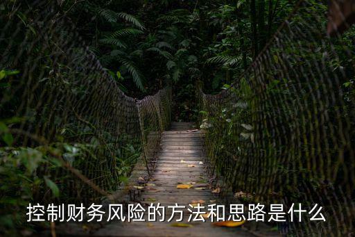 財(cái)務(wù)風(fēng)險(xiǎn)控制，控制財(cái)務(wù)風(fēng)險(xiǎn)的方法和思路是什么