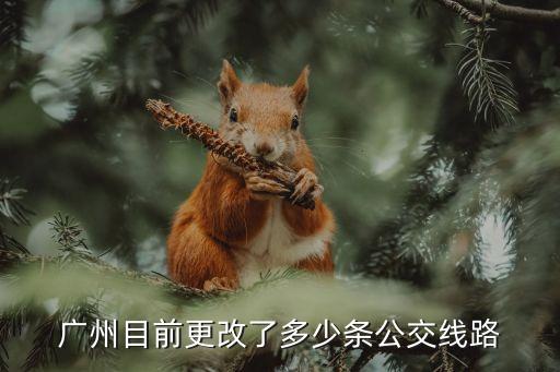 廣州擬開行公交線路，公交車的擬開通路線是什么意思