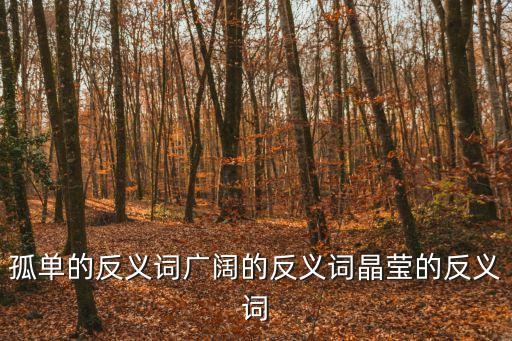 晶瑩的反義詞，晶瑩反義詞