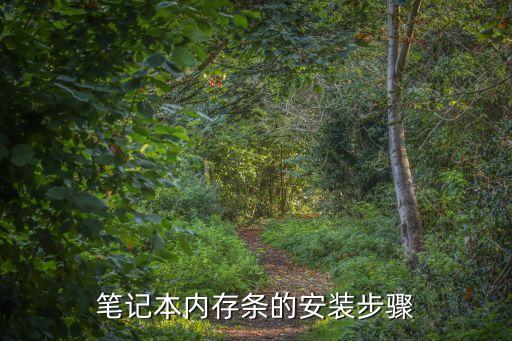 筆記本內存條怎么裝，筆記本內存條如何安裝