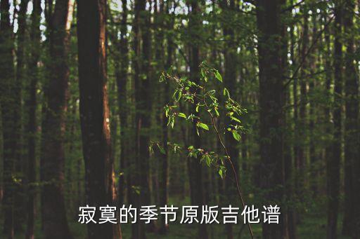 寂寞的季節吉他譜，陶喆寂寞的季節吉他六線譜發下