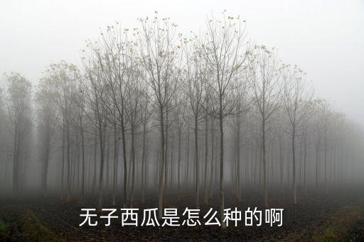 無子西瓜是怎么種的啊