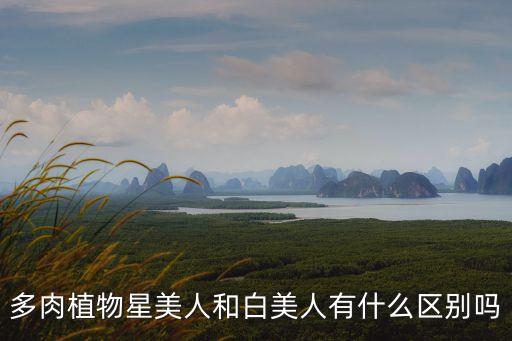 多肉植物星美人和白美人有什么區別嗎