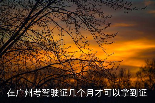 在廣州考駕駛證幾個月才可以拿到證