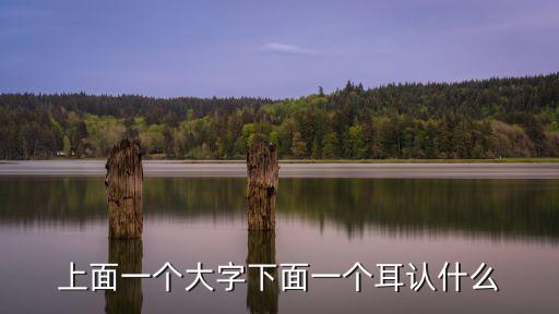 一個大一個耳，上面一個大下面一個耳念什么字組詞