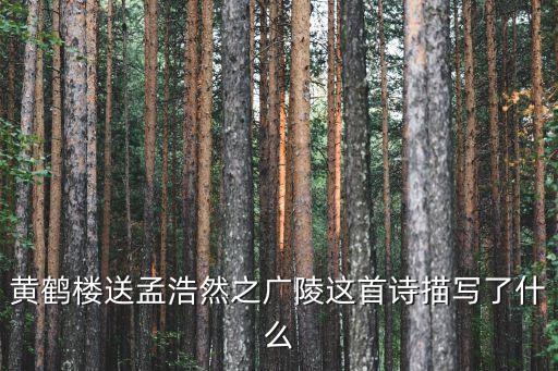 黃鶴樓送孟浩然之廣陵這首詩描寫了什么