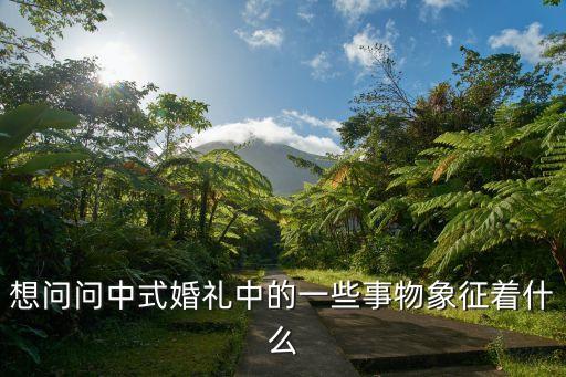 跨馬鞍，想問問中式婚禮中的一些事物象征著什么