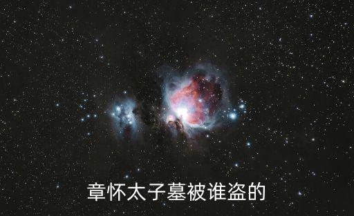 章懷太子墓被誰盜的