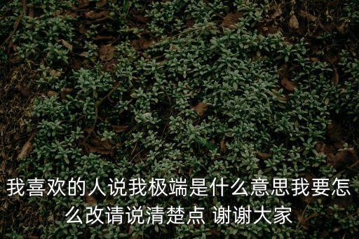 我喜歡的人說我極端是什么意思我要怎么改請說清楚點 謝謝大家