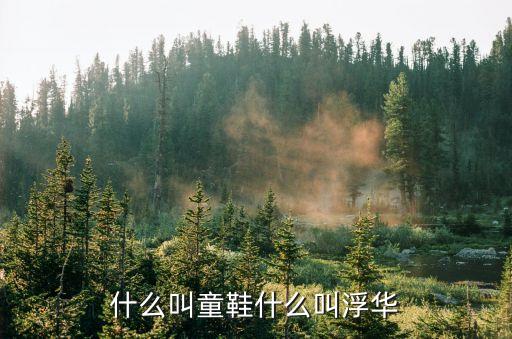 什么叫童鞋什么叫浮華