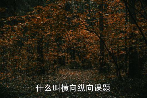 縱向課題，大學教授的橫向課題縱向課題是什么意思