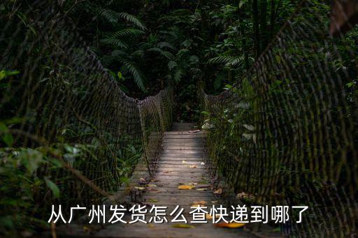 從廣州發(fā)貨怎么查快遞到哪了