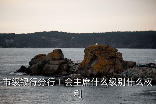 市級銀行分行工會主席什么級別什么權(quán)利