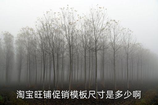 淘寶旺鋪促銷模板尺寸是多少啊
