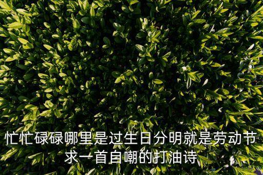 忙忙碌碌哪里是過生日分明就是勞動節求一首自嘲的打油詩