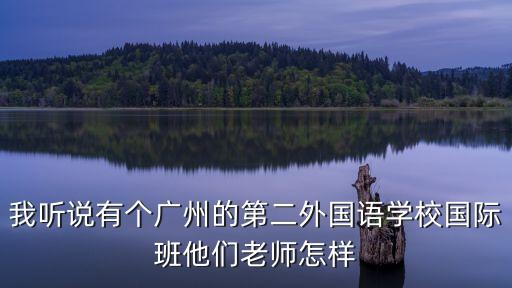 我聽說有個廣州的第二外國語學校國際班他們老師怎樣