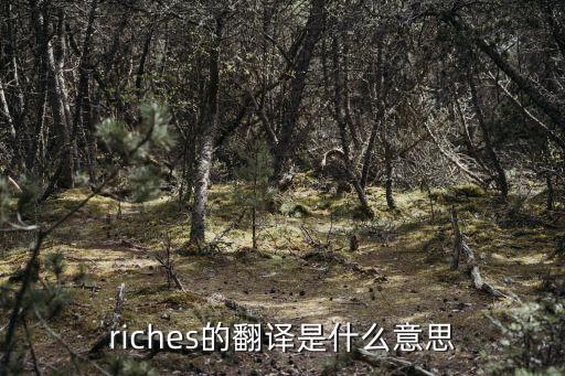 riches，rch什么意思