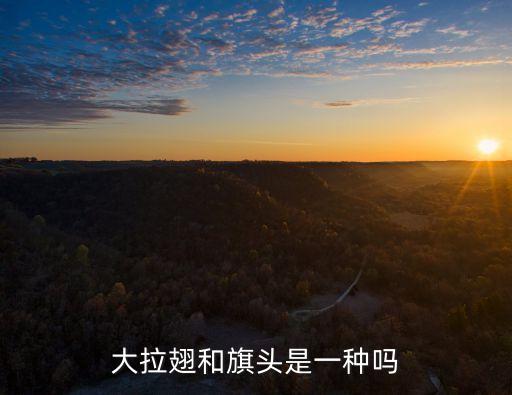 大拉翅和旗頭是一種嗎