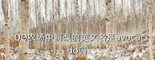 牛油果的英語，QQ農場中鱷梨的英文名是avocado嗎
