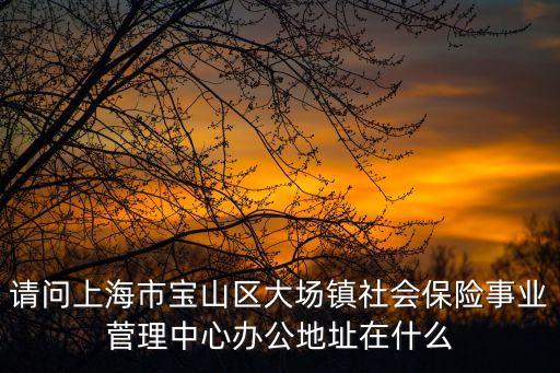 上海市養豬協會，上海市黃浦區社會保險事業管理中心的地址是陸家浜路265號還是新永